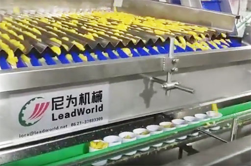 振動(dòng)灌裝機(jī)